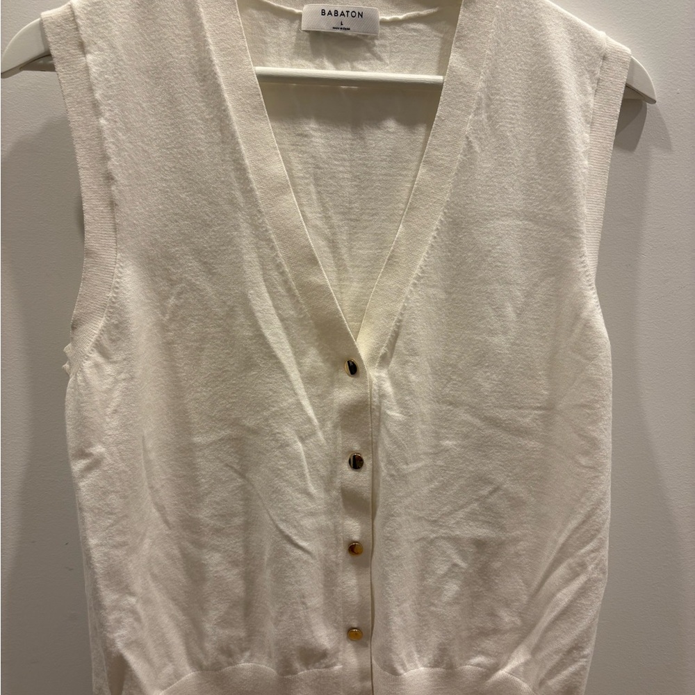 Babaton Ivory Button-Down Vest